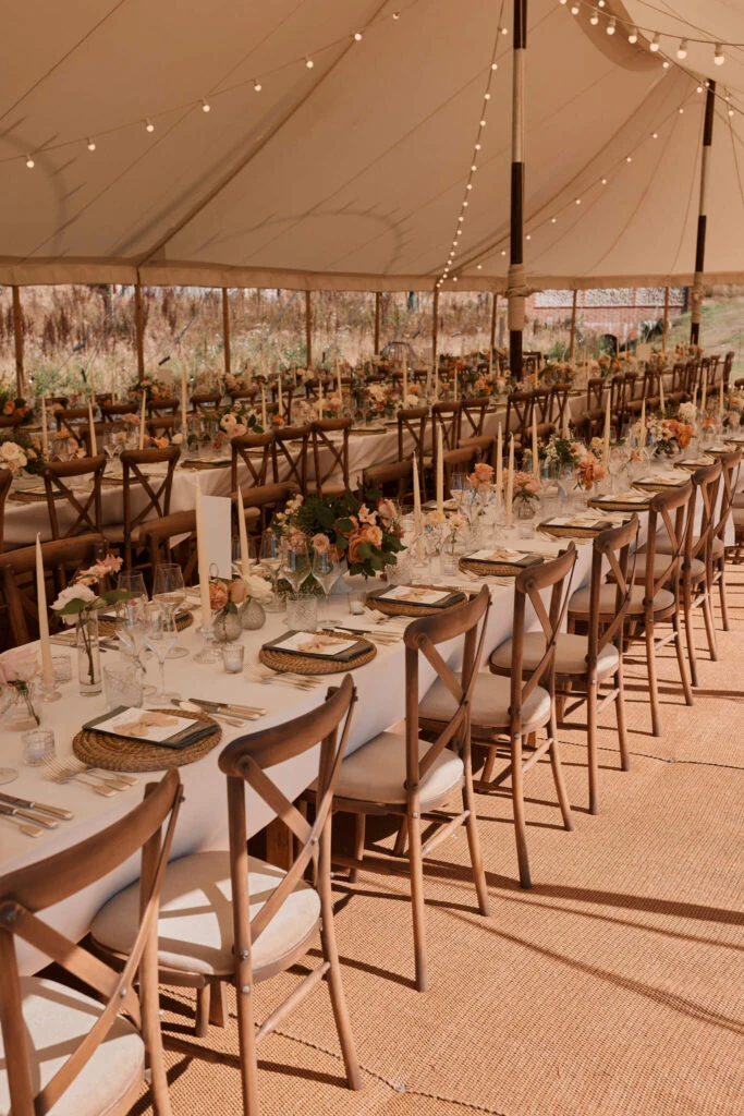 Festoon Prodcution Company Suffolk T25 Production Ipswich